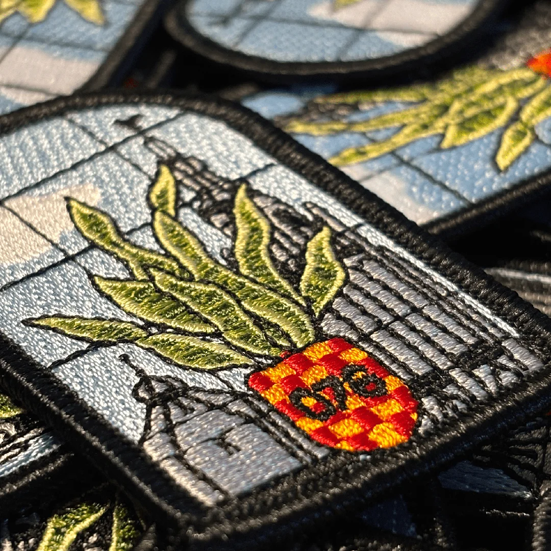 Sanseveria voor 't raam - Sanseveriaembleemkerkbreda - IN041-11